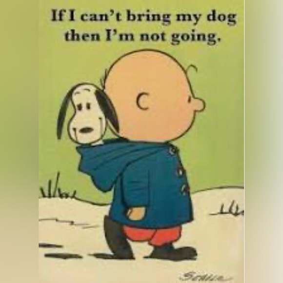 💎MEET THE POSHER💎 Bestdressed995 - Picture 16 of 16